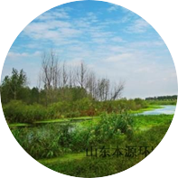 人工湿地及生态修复